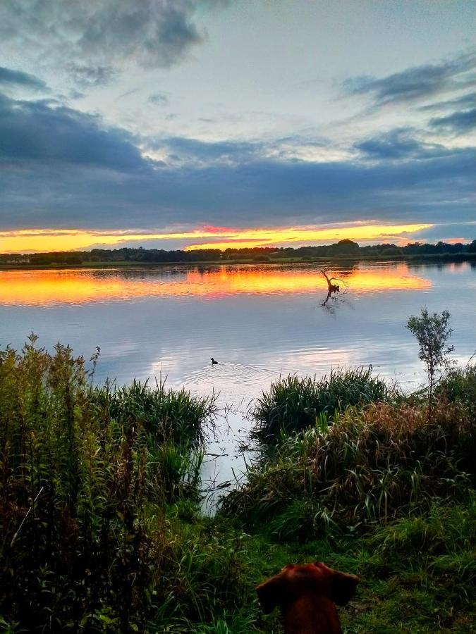 Ferienwohnung Entspanntes wohnen in Ostseenähe, gute Anbindung Ratekau Exterior foto